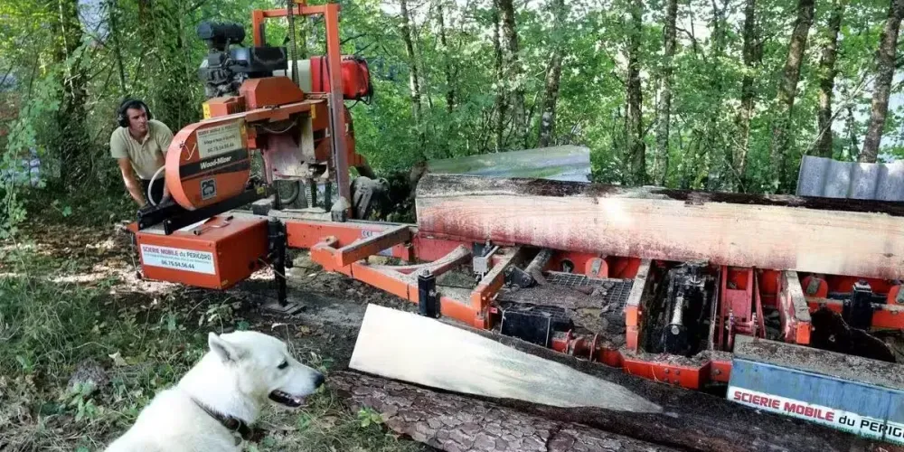 Quand Sud Ouest met en lumière notre scierie mobile